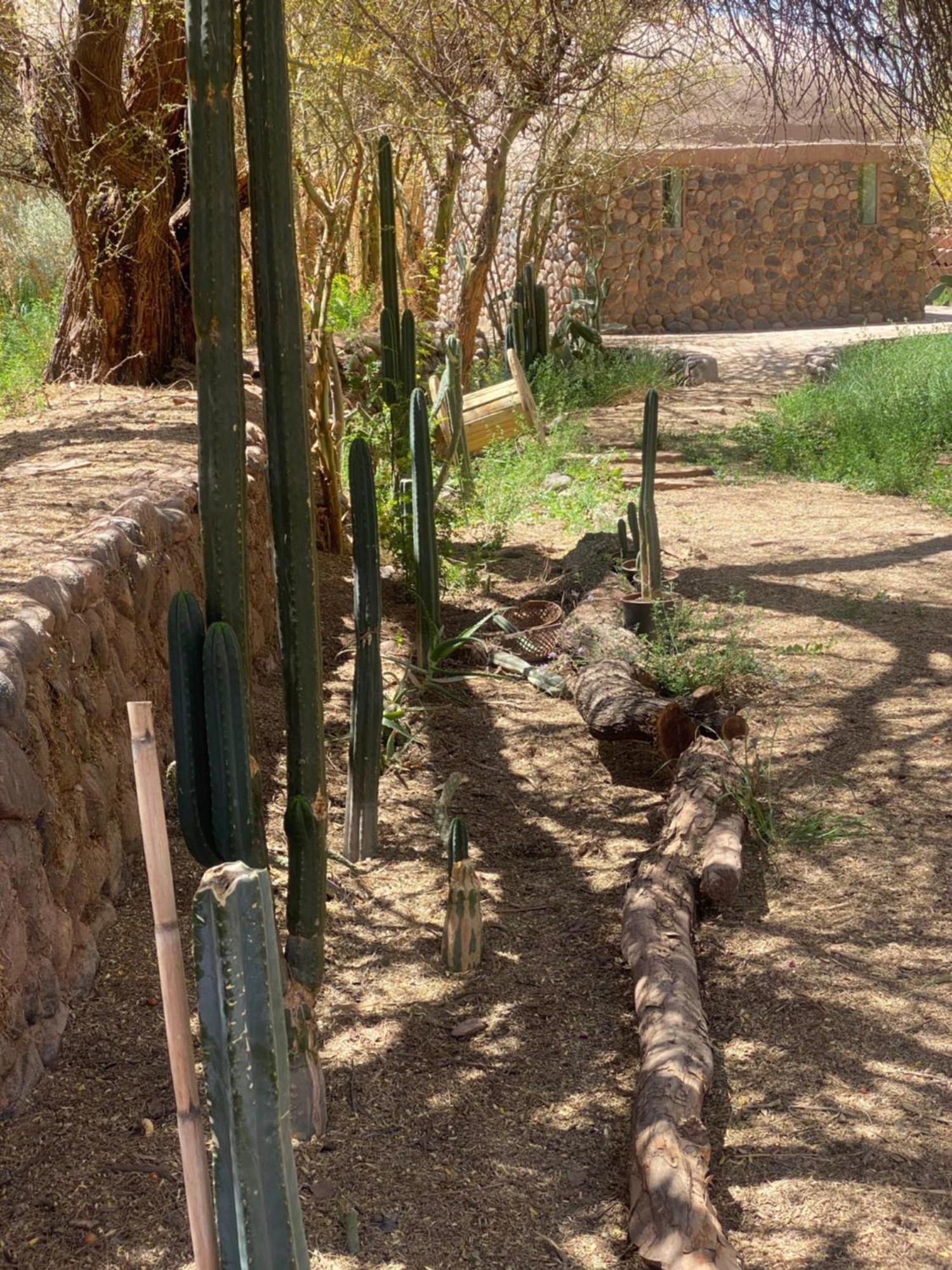 Casa Luna San Pedro de Atacama Buitenkant foto