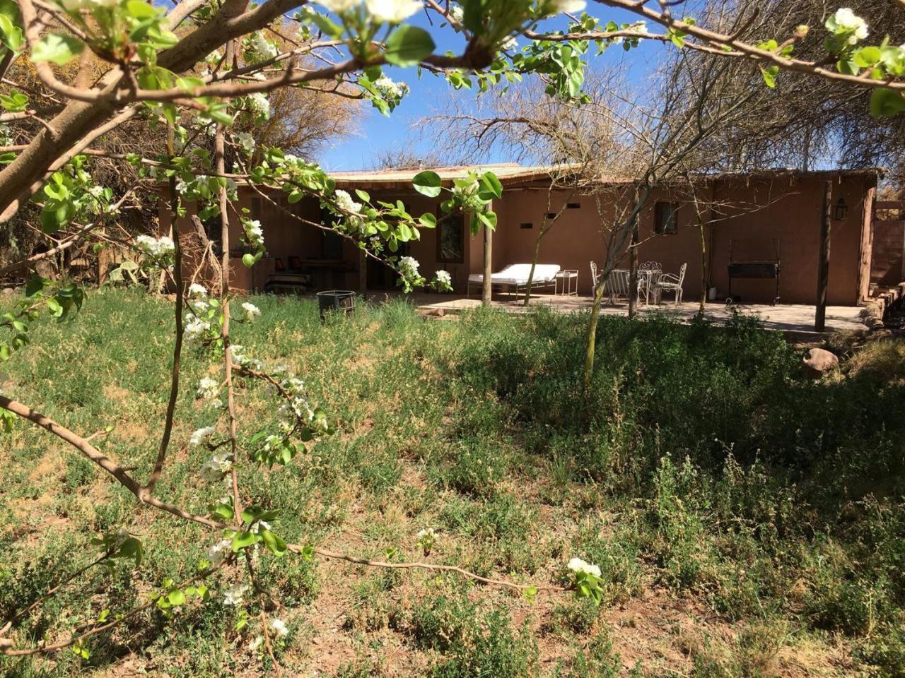 Casa Luna Pension San Pedro de Atacama Buitenkant foto